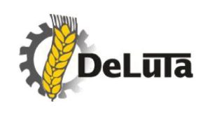 Logo DeLuTa